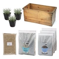 リーフ Leaf Corp （観葉植物）りんご箱ガーデン ラベンダー栽培セット 麻袋・軽石砂・培養土付き