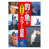 永岡書店 釣った魚が必ずわかるカラー図鑑 21372 2冊（直送品）