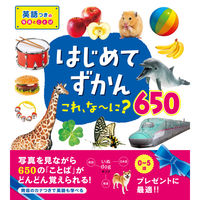 永岡書店 はじめてずかん これ、な～に？650 43643 3冊（直送品）