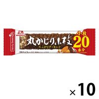 1本丸かじり小枝 10本 森永製菓 チョコレート