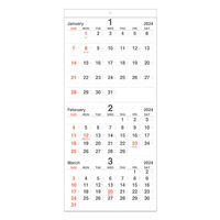 ナカバヤシ 【2024年版】壁掛けカレンダー 毎月めくる3か月 COC-CLH-610-24 1セット（2冊）（直送品）