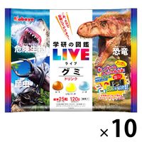 図鑑LIVEグミ ドリンク 10袋 カバヤ食品 グミ