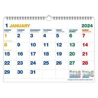 エトランジェディコスタリカ 【2024版】A4 壁掛カレンダー 月曜始まり ホワイト CLK-A4-01 1セット（2冊）（直送品）