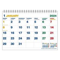 エトランジェディコスタリカ 【2024版】A5 卓上カレンダー 月曜始まり カラー CLT-A-04 1セット（2冊）（直送品）