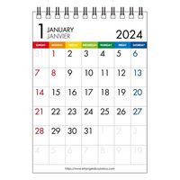 エトランジェディコスタリカ 【2024版】A6 卓上カレンダー 日曜始まり カラーバー CLT-B-12 1セット（3冊）（直送品）