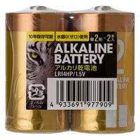 伊藤忠リーテイルリンク（株） アルカリ乾電池レギュラー　単2　2P 日用品 ノンフード×4個 4933691977909 ２P×4個（直送品）