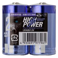 伊藤忠リーテイルリンク（株） アルカリ乾電池UDハイパワー　単2　2P 日用品 ノンフード×50個 4933691977961 ２P×50個（直送品）