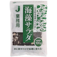 ジャパンスパイス 海藻サラダJP3 4974407221107 100G×5袋（直送品）