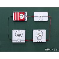 ナリカ 電気回路演示板(中学校電気回路)ケース付 B10-6153-04 1セット（直送品）