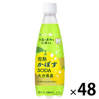 伊藤園 ニッポンエール 完熟かぼすSODA 410ml 1セット（48本）