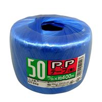 宮島化学工業 PPテープ 青 50mm×400m CT042 1セット(10巻)（直送品）