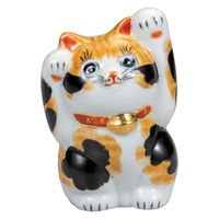 伊野正峰 日本の伝統工芸品【九谷焼】 K8-1441 4号両手上げ招き猫 毛長三毛　1個（直送品）