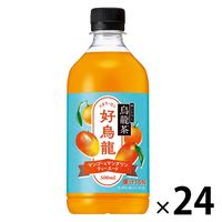 サントリー 烏龍茶 好烏龍（ハオウーロン）マンゴー＆マンダリンティーエード 500ml 1箱（24本入）