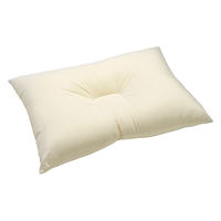 西川 ウォッシャブル枕 クリーム Lサイズ（63×43cm） QH02009005 1個