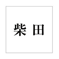 ハイロジック 表札用 切文字シール 「柴田」