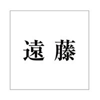 ハイロジック 表札用 切文字シール 「遠藤」