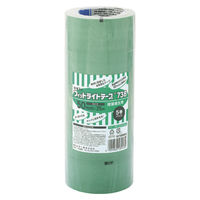 積水化学工業 フィットライトテープ５０Ｘ２５　緑５巻 N738M54 1パック