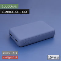 OWLTECH 10000mAhで196g Type-C入出力モバイルバッテリー アッシュブルー OWL-LPB10012-RAB 1個（直送品）