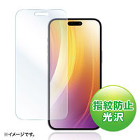 サンワサプライ iPhone 液晶保護指紋防止光沢フィルム PDA-FIP15