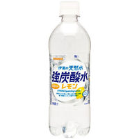 サンガリア 伊賀の天然水 強炭酸水レモン 500ml 1箱（24本入）（わけあり品）