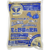日本バットグアノ 有機リン酸肥料バットグアノ 1kg 4545460022002 1袋(1kg入)（直送品）