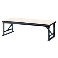 【軒先渡し】ニシキ工業 折り畳み座卓テーブル AZLP-B S