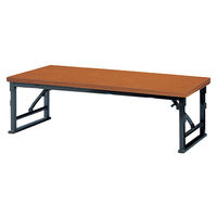 【軒先渡し】ニシキ工業 折り畳み座卓テーブル AZLP-B T