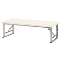 【軒先渡し】ニシキ工業 折り畳み座卓テーブル AZLP-S T