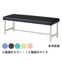 アズワン 診察台 角パイプ脚 バイオレット 700×1900×500mm 64-9539-87 1台（直送品）