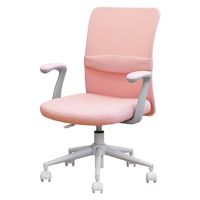 【軒先渡し】ネットフォース CLR クロレチェア 肘付き オフィスチェア 学習椅子 CLR-1AR-AW
