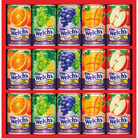 アサヒ飲料 【2箱セット】「ウェルチ」　１００％果汁ギフト 23-0387-064（直送品）