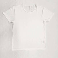 ブルーメイト 紳士用 Tシャツ 半袖 丸首 接触冷感メッシュ N1303P