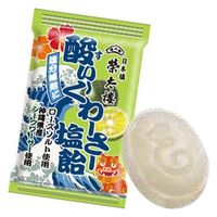 榮太樓總本鋪 酸ぃーくわーさー塩飴 1kg入 1061284 1袋（直送品）