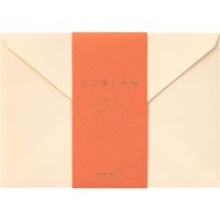 デザインフィル 封筒 色を贈る 洋2 茶 20572006 1冊