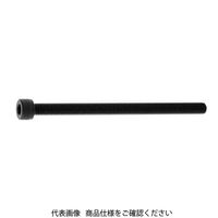 ファスニング J 六角穴付ボルト BK ステンCAP（ゼンネジ 16X65X65 A00200100160065008 1箱（25個）（直送品）