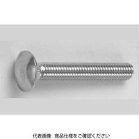 ファスニング J ねじ 3カーW ネカクBT（A-1 K=5 10X95（ゼン C00005000100095003 1箱（40個）（直送品）