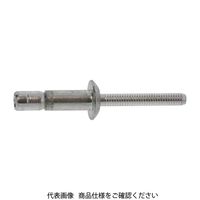 ファスニング J FA関連 部品 Sボルト（アウターロック SNS48110 E100S1000048110000 1箱（500個）（直送品）