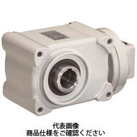 椿本チエイン サーボモータ用 TERVO減速機(ハイポイドギヤヘッド) HMTK0230H200ーE4DC HMTK0230H200-E4DC 1個（直送品）