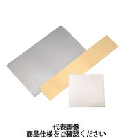 岩田製作所 シムプレート TA100-250-015 1セット（6個）（直送品）