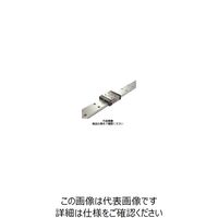 日本トムソン（IKO） リニアウェイF・LWFS（ブロック形・非互換性仕様） LWFS33C1R120H 1個（直送品）