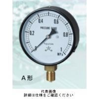 右下精器製造 一般圧力計 耐振用 AVT1/4-60X1MPA 1個（直送品）