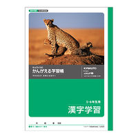 日本ノート かんがえる学習帳　漢字学習5・6年生用 L423 1セット（10冊）