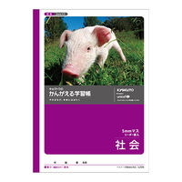 日本ノート かんがえる学習帳 社会5mmマス L225 10冊（直送品）