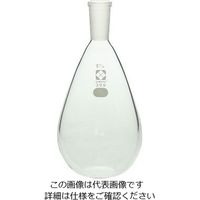 柴田科学 共通平底なす形フラスコ 19/38 300mL 3-5927-04 1個（直送品）