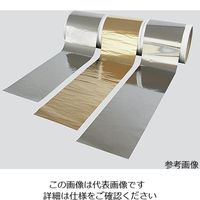 アズワン ニッケル箔 NI 100×100×0.01 1個 3-2155-03（直送品）