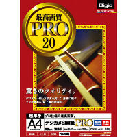 ナカバヤシ デジカメ印画紙PRO インクジェット 強光沢 A4 20枚 PRSK-A4H-20G 10個（直送品）