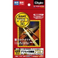 ナカバヤシ デジカメ印画紙PRO インクジェット 強光沢 はがきサイズ 30枚 PRSK-PCH-30G 20個（直送品）