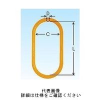 象印チェンブロック スリングフック 大型マスターリンクマスターリンク 1ケ