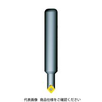 富士元工業 富士元 面面 専用チップ:C32GUX 刃径18mm SNK1516C 1個 796-8027（直送品）