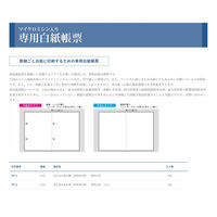 日本法令 給与支払報告書（源泉徴収票）専用白紙　穴なし TP-2 1箱（取寄品）